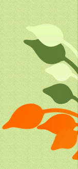 gy�gyterm�k nagykeresked�s