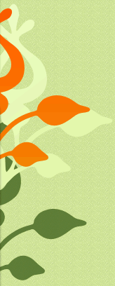 gy�gyterm�k nagyker